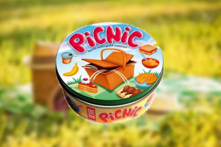 Picnic